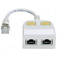 Telegärtner RJ45 Netwerk Y-adapter CAT 5e [2x RJ45-bus - 1x RJ45-stekker] 15.00 cm Wit - thumbnail