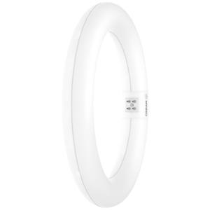 OSRAM LED-Ring Energielabel: E (A - G) G10q 11 W = 22 W Koudwit 1 stuk(s) (Ø x l) 312 mm x 212 mm