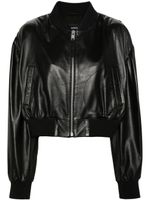 Arma veste bomber Salinas en cuir - Noir