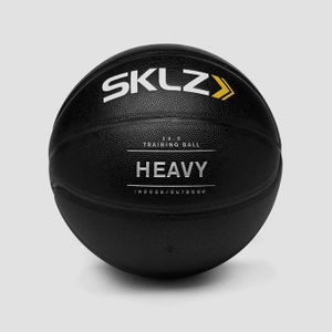 SKLZ Heavy Weight Control Basketball