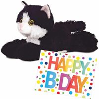 Pluche knuffel kat/poes zwart/witte 20 cm met A5-size Happy Birthday wenskaart - thumbnail