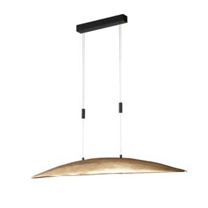 Fischer & Honsel Hanglamp Colmar goud 61091