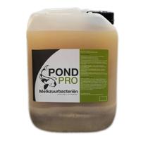 Pond Pro Melkzuurbacteriën 5L - Ondersteunt Vijvergezondheid, Waterhelderheid & Preventie Ziekten