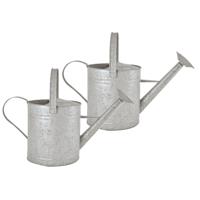 Gieter/plantengieter - 2x - zink - 3.5 liter - klassiek/decoratief - 42 x 17.5 x 24 cm