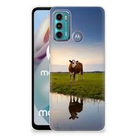 Motorola Moto G60 TPU Hoesje Koe