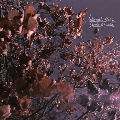 Internal Radio - CD (0602309895402)