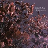 Internal Radio - CD (0602309895402)