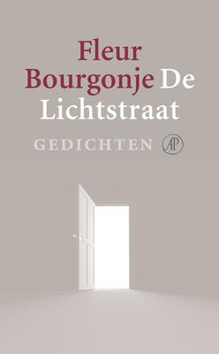 De Lichtstraat - Fleur Bourgonje - eBook (9789029577823)