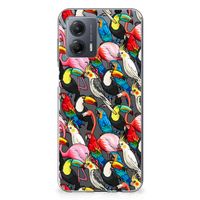 Motorola Moto G53 TPU Hoesje Birds