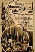 Een kijkje in een consumptie-laboratorium - Francois Blom - Paperback (9789491982026)