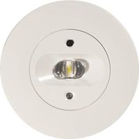 B-SAFETY BL552038 veiligheidslamp plafondmontage