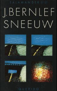 Sneeuw - Bernlef - ebook