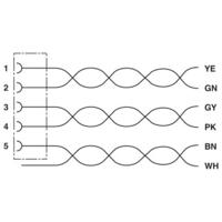 Phoenix Contact 1517929 Sensor/actuator aansluitkabel Aantal polen (sensoren): 5 5.00 m 1 stuk(s) - thumbnail