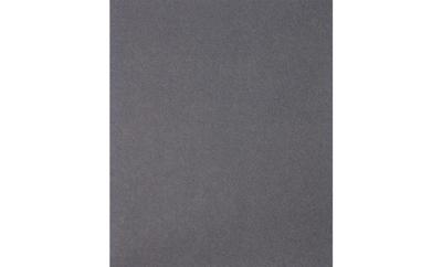 PFERD BP W 230x280 SiC 220 45015022 Handschuurpapier Korrelgrootte 220 (l x b) 280 mm x 230 mm 50 stuk(s)