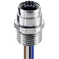 Lumberg Automation 108776 Sensor/actuator connector, geassembleerd M12 Aantal polen: 4 Bus, inbouw 0.50 m 1 stuk(s)