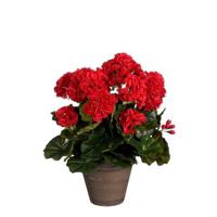 Mica Decorations Geranium Kunstplant - 27x27x41 cm - Polyester - Rood