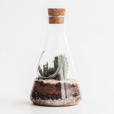 Chemistry Terrarium Chemistry Terrarium