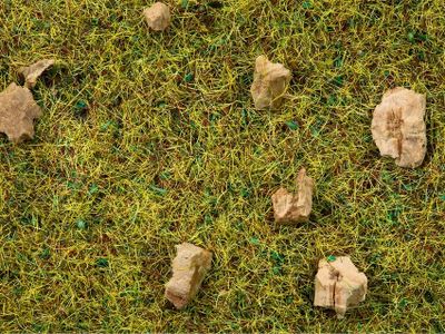 NOCH Scatter Grass “Alpine Meadow” schaalmodel onderdeel en -accessoire Planten