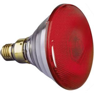 Eurolite Par-38 FL rot Halogeenlamp voor lichteffect 230 V E27 80 W Rood Dimbaar