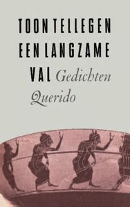 Een langzame val - Toon Tellegen - ebook