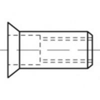 TOOLCRAFT TO-5444364 Popmoer M8 Staal 500 stuk(s)