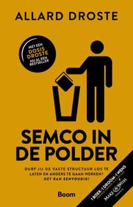 Semco in de polder - Allard Droste - ebook