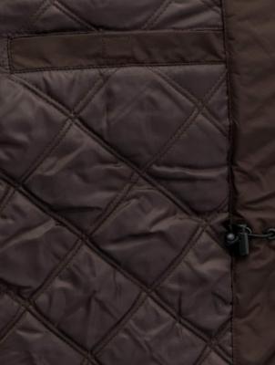 Dickies / winterjas Curtis in bruin Dickies / winterjas Curtis in bruin