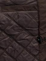 Dickies / winterjas Curtis in bruin