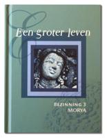 Een groter leven (Hardback)