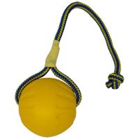 Starmark Swing N Fling Durafoam fetch bal hond speelgoed, groot