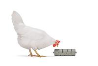 Beeztees BZ Huehner Snackroller 22,5 x 6,5 cm grijs