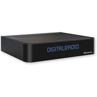 Quantis Electronics QE317 audio tuner Thuis Zwart
