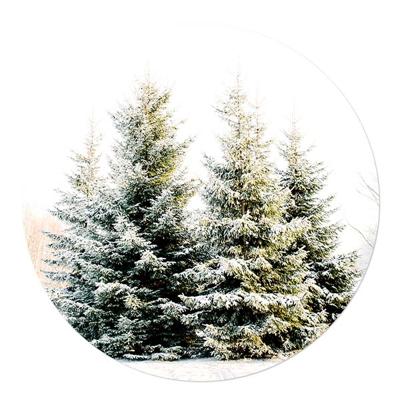 Muurcirkel Kerstbomen 120 Aluminium Geen