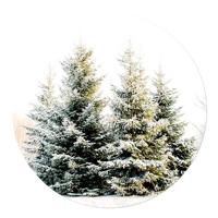 Muurcirkel Kerstbomen 120 Aluminium Geen