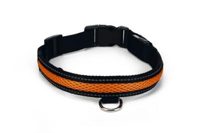 Beeztees Safety Gear Ruflo - Halsband Hond - Incl. Usb - L