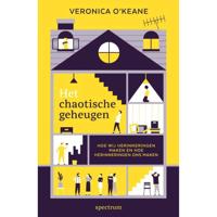 De geheugenfabriek - (ISBN:9789000367344)