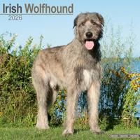 Irish Wolfhound Calendar 2026 Square Dog Breed Wall Calendar - 16 Month