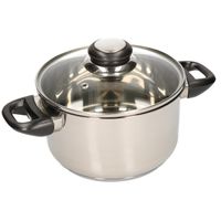 RVS kookpan / pan met glazen deksel 20 cm   -