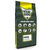 Yourdog Pointer senior