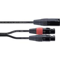 Y-kabel XLR-stekker/2 XLR-aansluitingen 30 cm