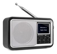 Audizio Parma draagbare DAB radio met Bluetooth en FM radio - Zilver