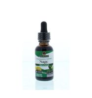 Salie/salvia extract alcoholvrij - thumbnail