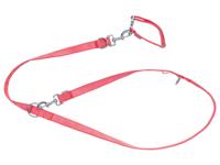 zoofari Hondenhalsband en riem (S, Rood) - thumbnail