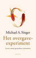 Het overgave-experiment - Michael Singer - ebook