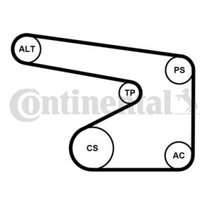 Poly V-riem set CONTINENTAL CTAM, u.a. für Opel, Vauxhall, Suzuki