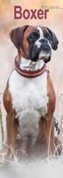 Boxer Slim Calendar 2026 Dog Breed Slimline Calendar - 12 Month