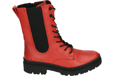 Ara 1223195 - alle Ara 1223195 - alle