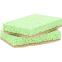 2x Eco schuursponzen/schoonmaaksponzen 10 cm