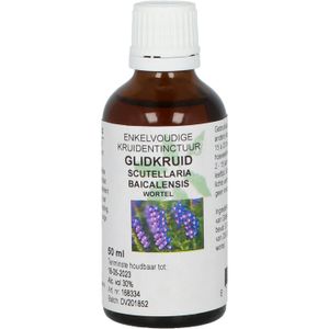 Glidkruid (Scutellaria baicalensis)