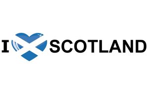 I Love Scotland vlag sticker 19.6 cm